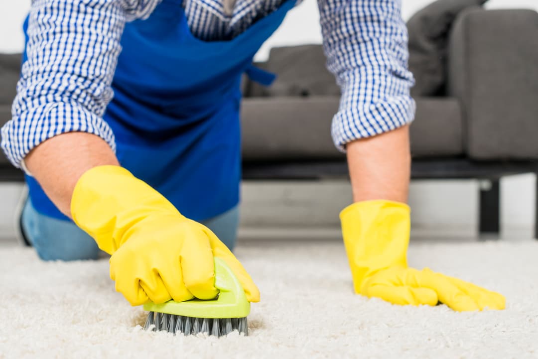 Carpet & Upholstery Cleaning